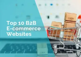 B2B ecommerce websites