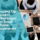 Scaling up - growth challenges for small online businesses