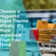 Choose a Magento Store theme wisely